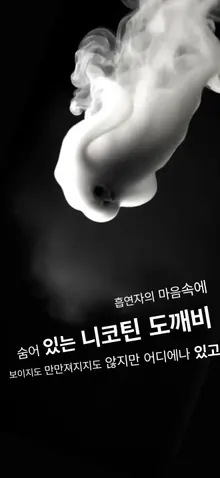 흡연의 위험